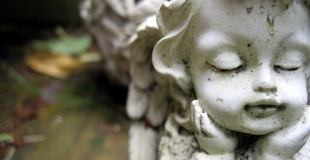 Devis d'assurance obsèques : comment les comparer et choisir le bon ?