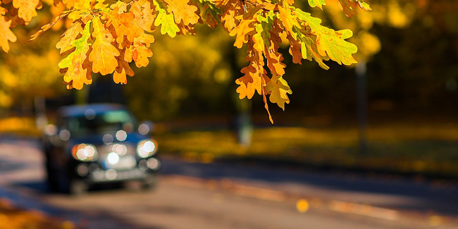 Assurance auto pour moins de 5 000 km par an