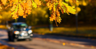Assurance auto pour moins de 5 000 km par an