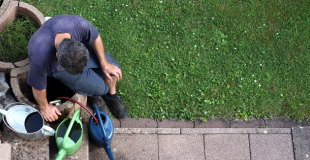 Comment choisir une garantie décennale en tant que jardinier paysagiste ?