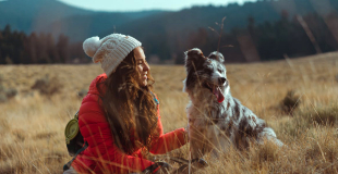 Conseils pour voyager avec votre animal de compagnie : documents, assurances, matériel