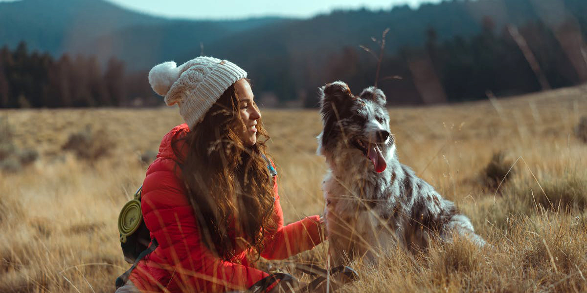 Conseils pour voyager avec votre animal de compagnie : documents, assurances, matériel